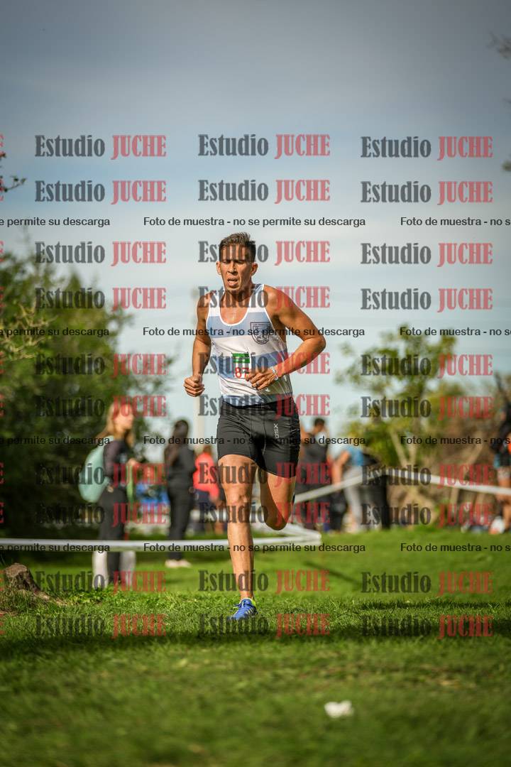 Fotos de la llegada del cross de 8000 m