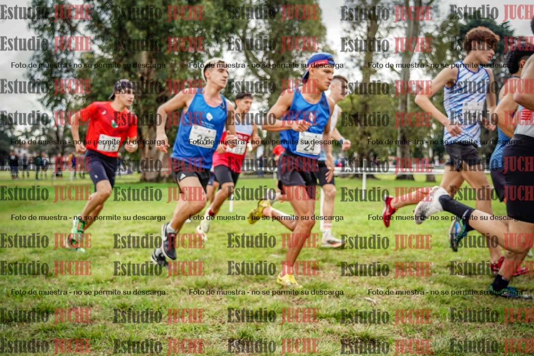 Fotos en el circuito