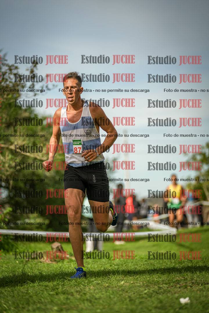 Fotos de la llegada del cross de 8000 m