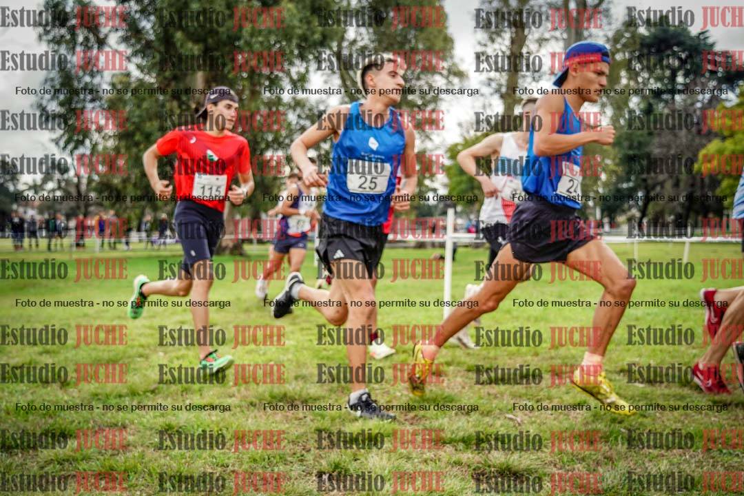 Fotos en el circuito