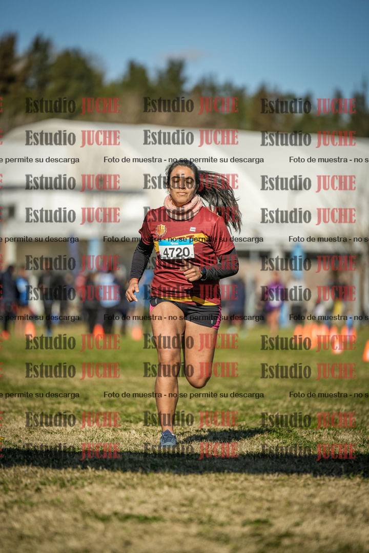 Fotos de las llegadas
