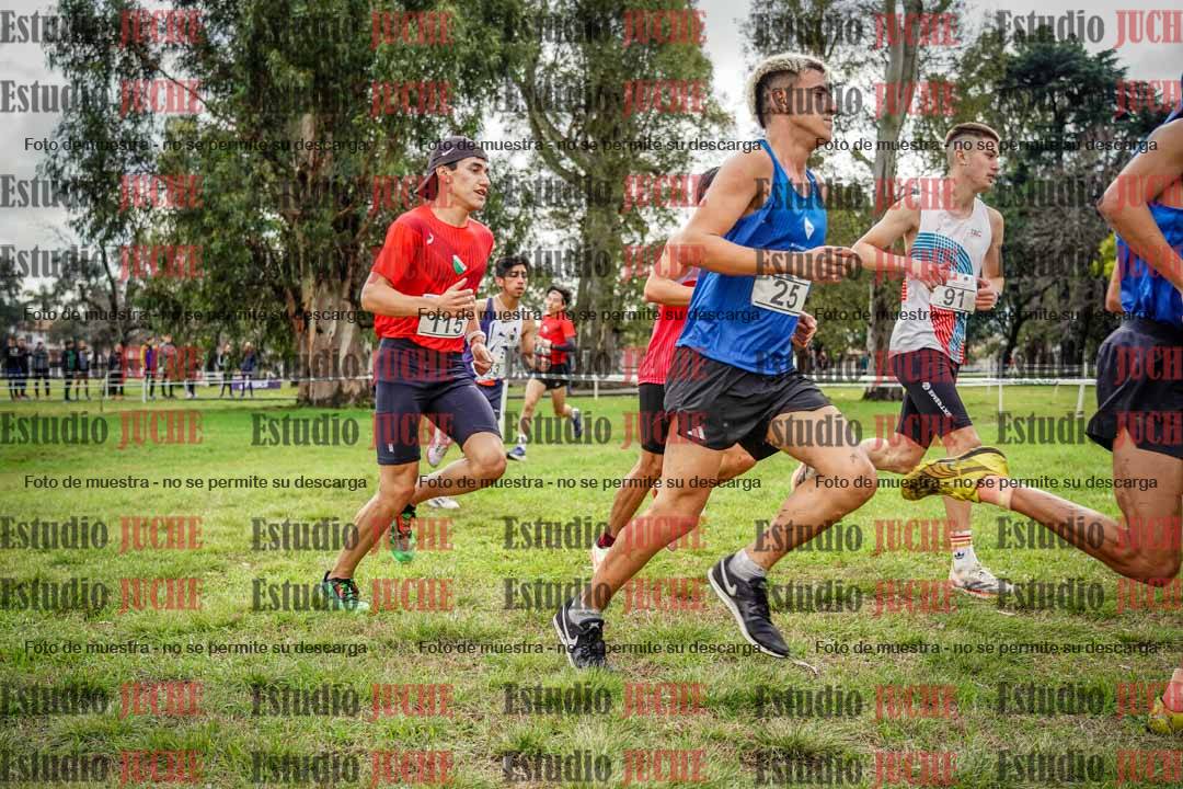 Fotos en el circuito