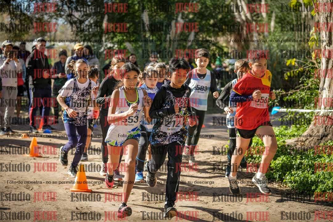 Fotos en de la largada