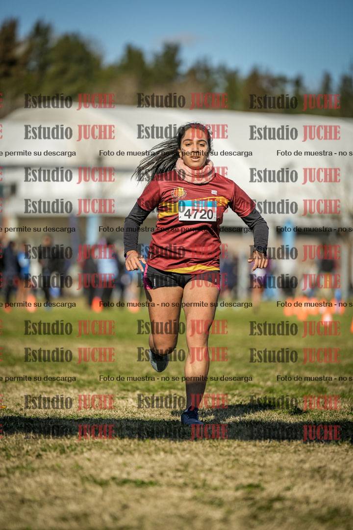 Fotos de las llegadas