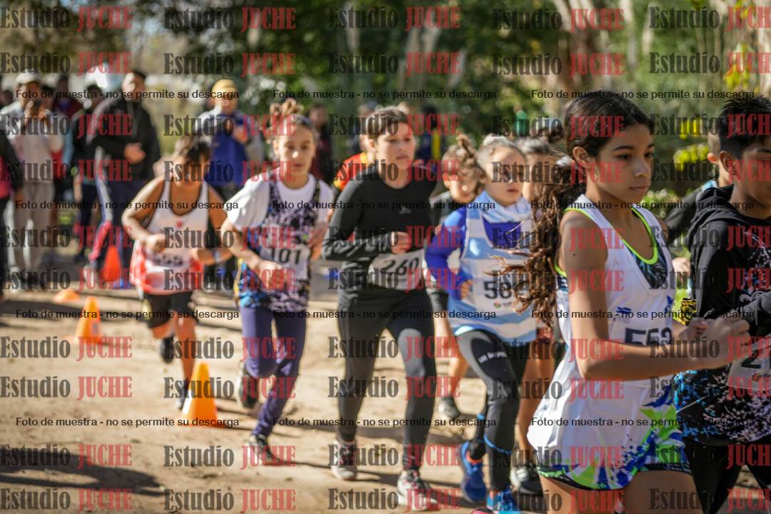 Fotos en de la largada