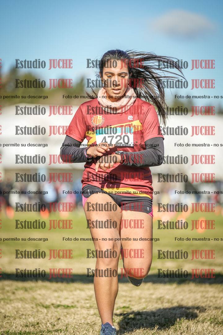 Fotos de las llegadas