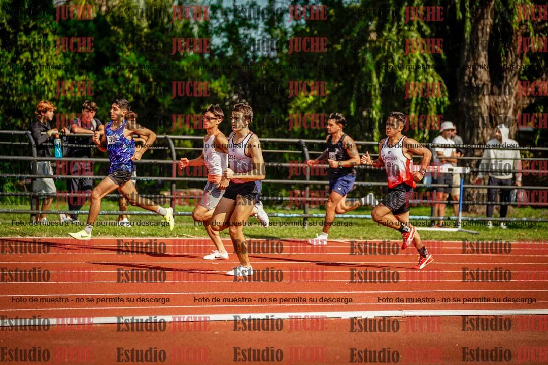 Fotos de los 800 m llanos de varones
