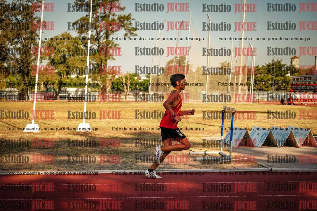 Fotos de los 800 m llanos de varones