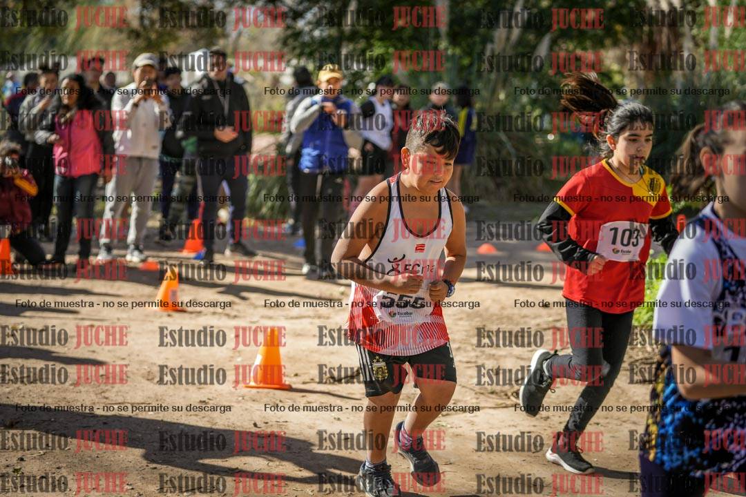 Fotos en de la largada