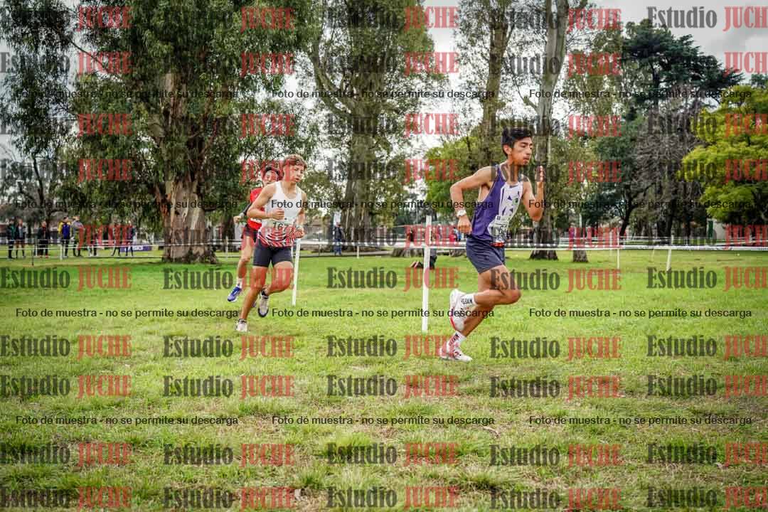 Fotos en el circuito