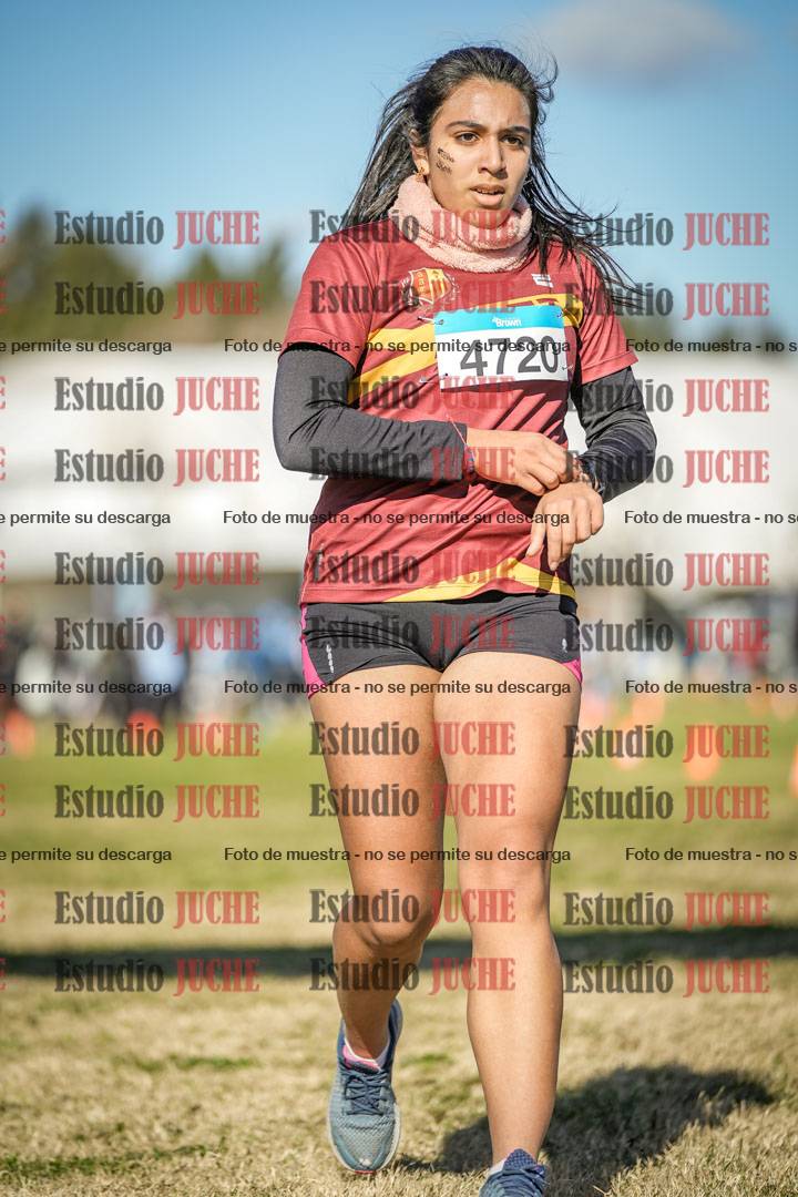 Fotos de las llegadas