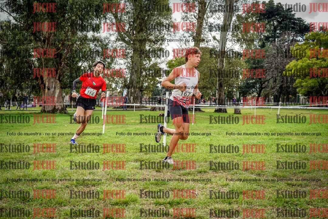 Fotos en el circuito