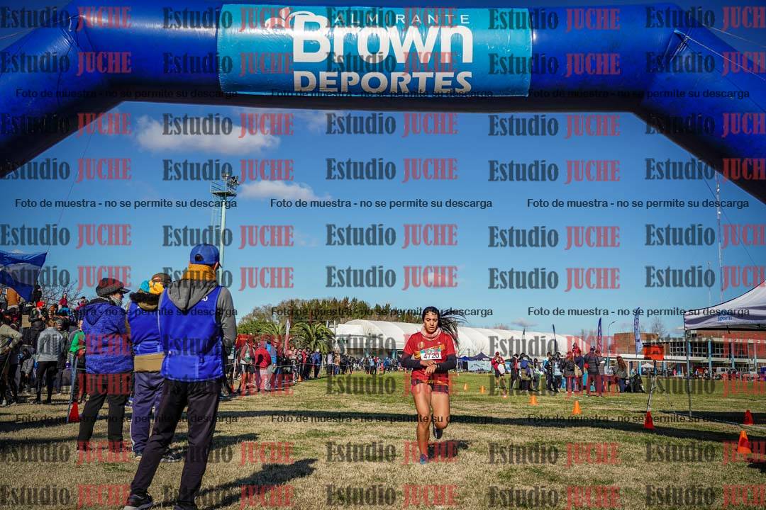Fotos de las llegadas