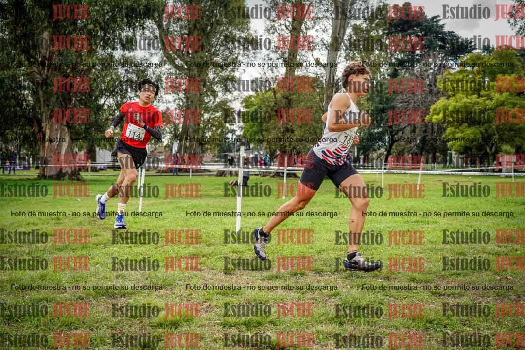 Fotos en el circuito