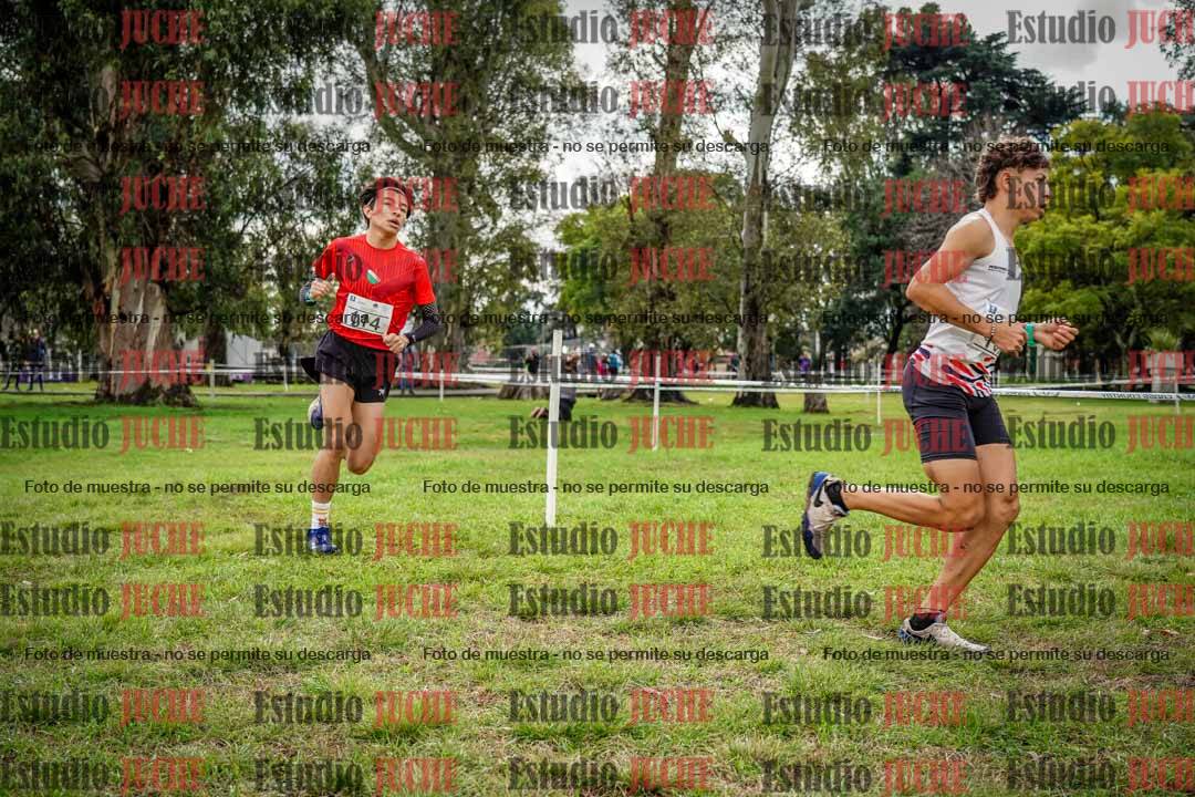 Fotos en el circuito