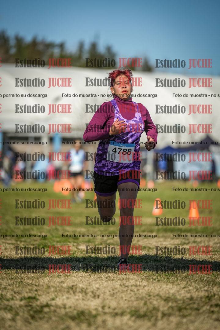 Fotos de las llegadas