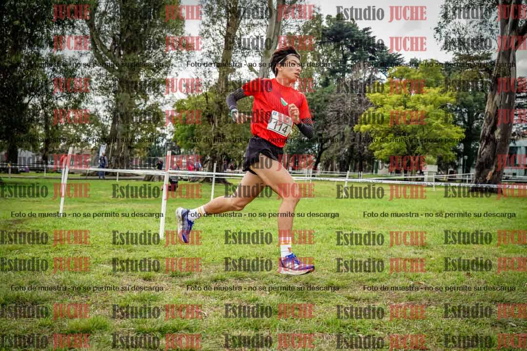 Fotos en el circuito