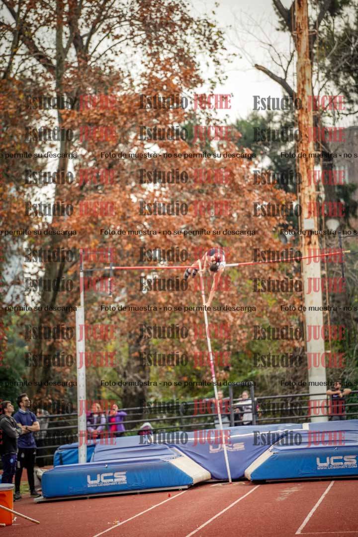 Fotos del salto con garrocha de mujeres