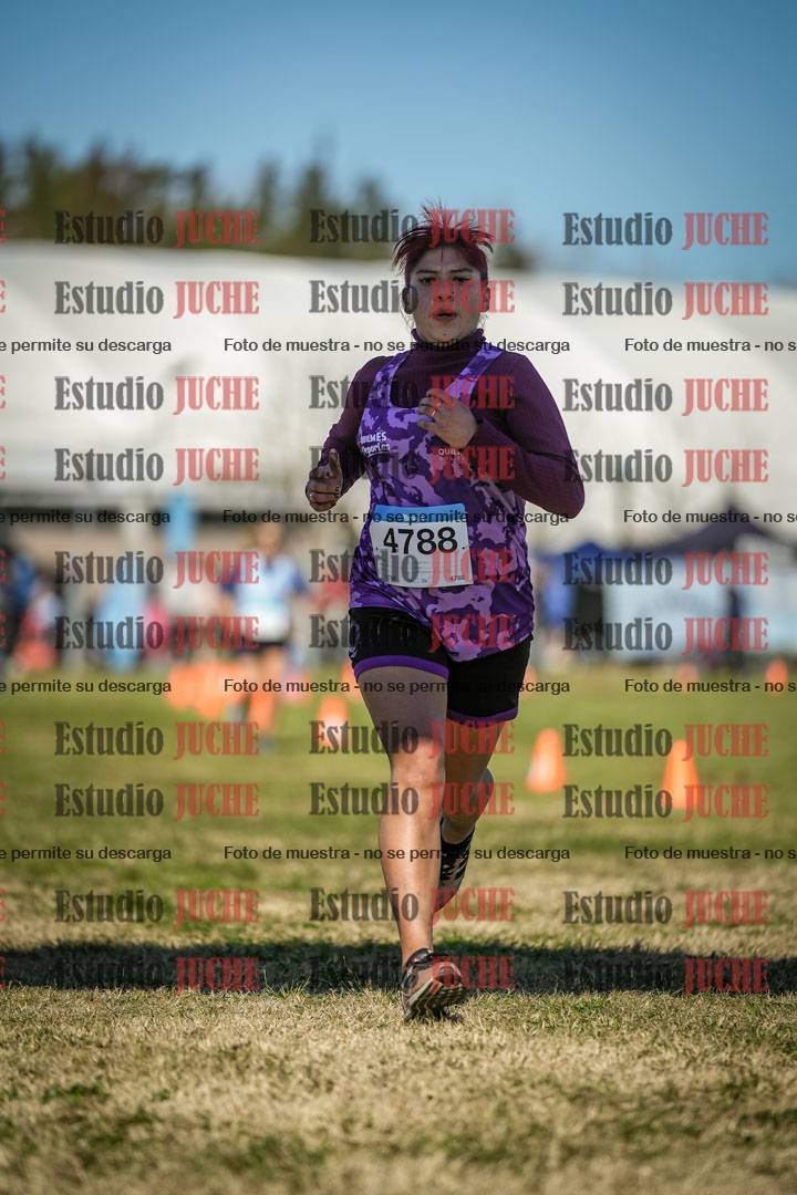 Fotos de las llegadas