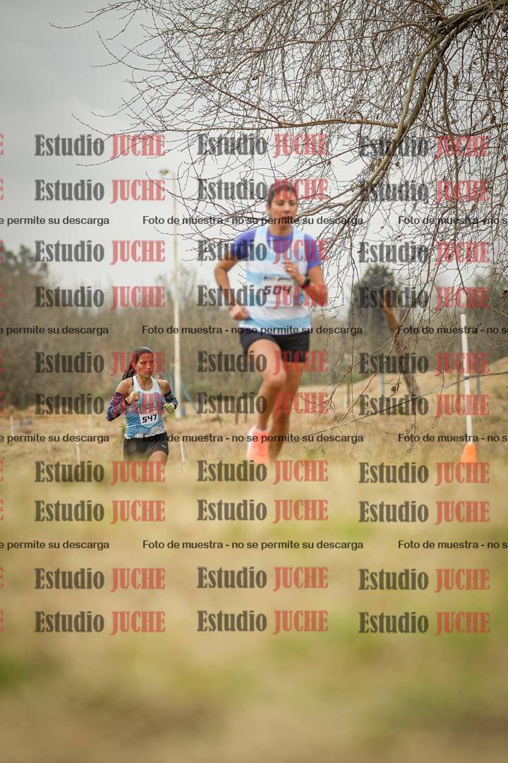 Fotos en el circuito