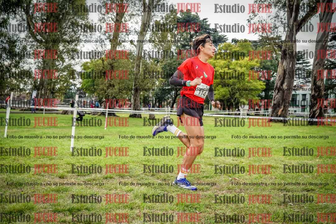 Fotos en el circuito