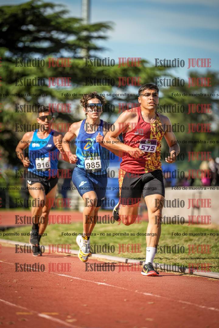 Fotos de los 5000 m llanos de varones