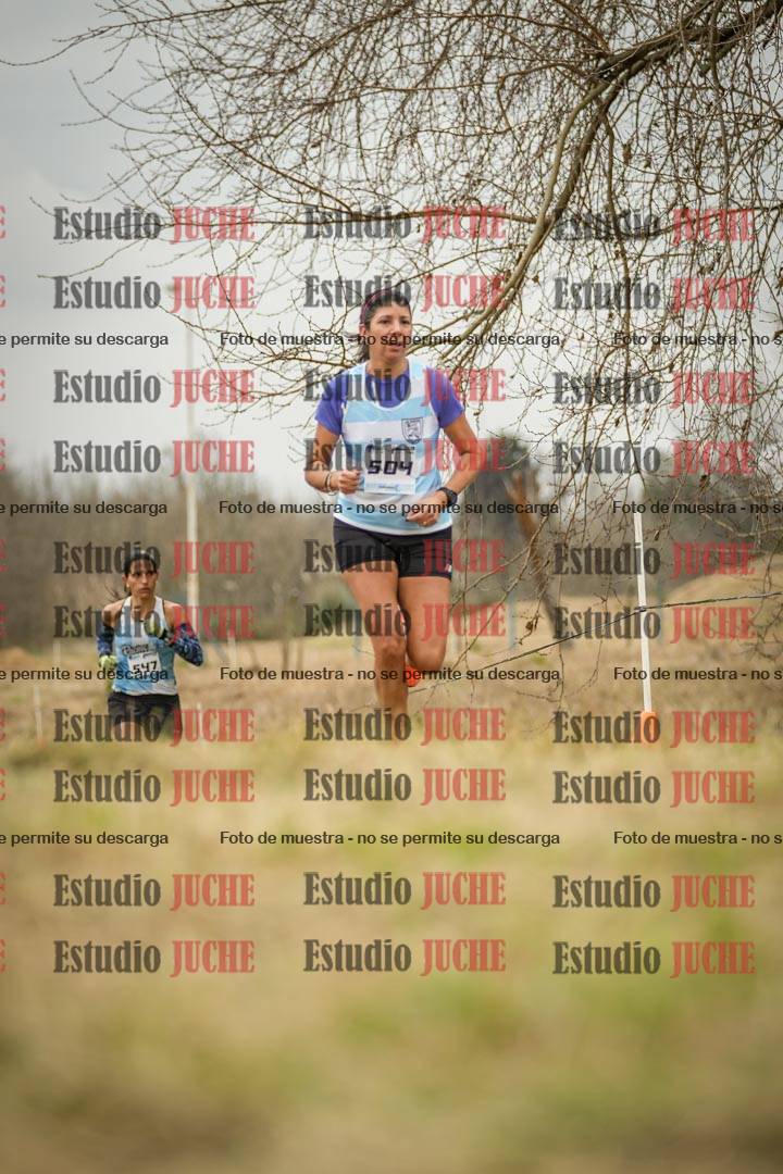Fotos en el circuito