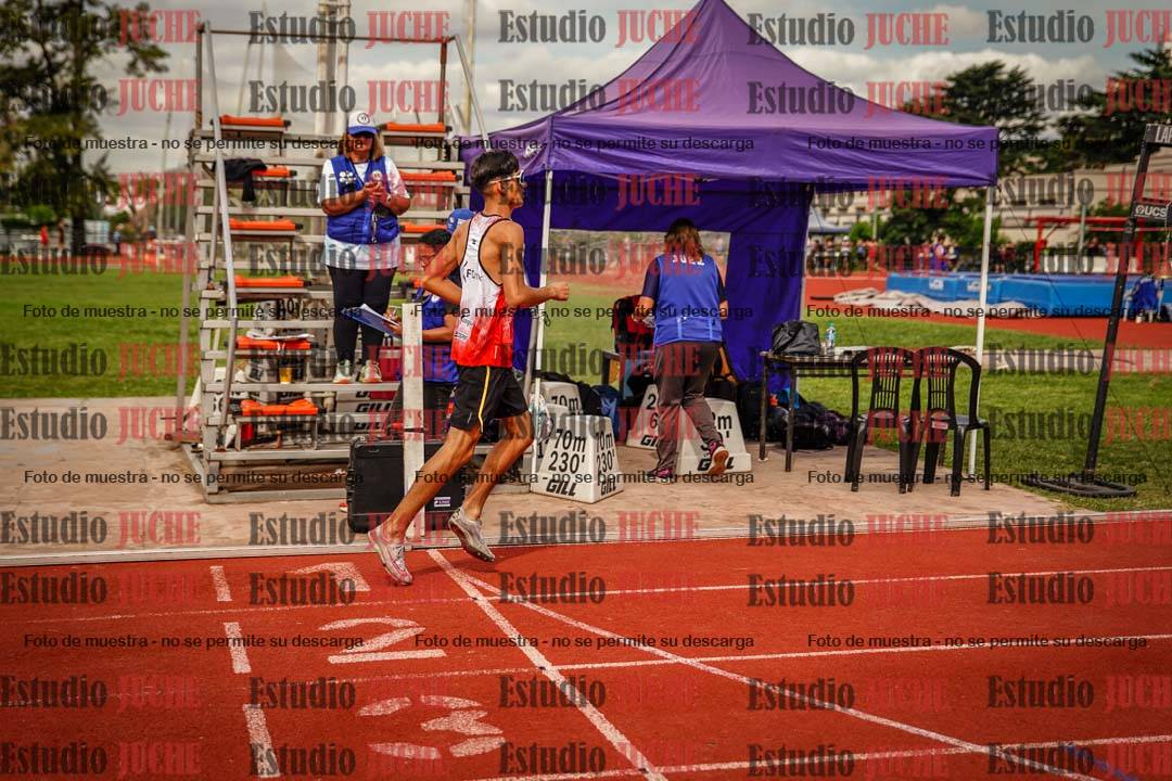 Fotos de los 800 m de varones