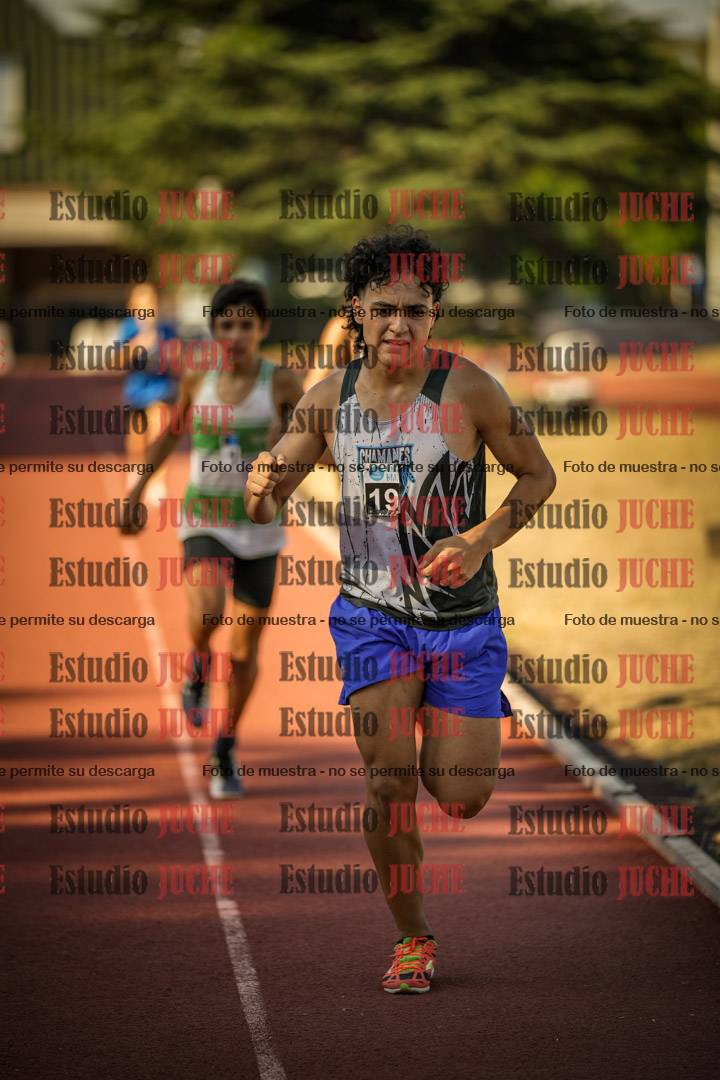 Fotos de los 800 m llanos de varones