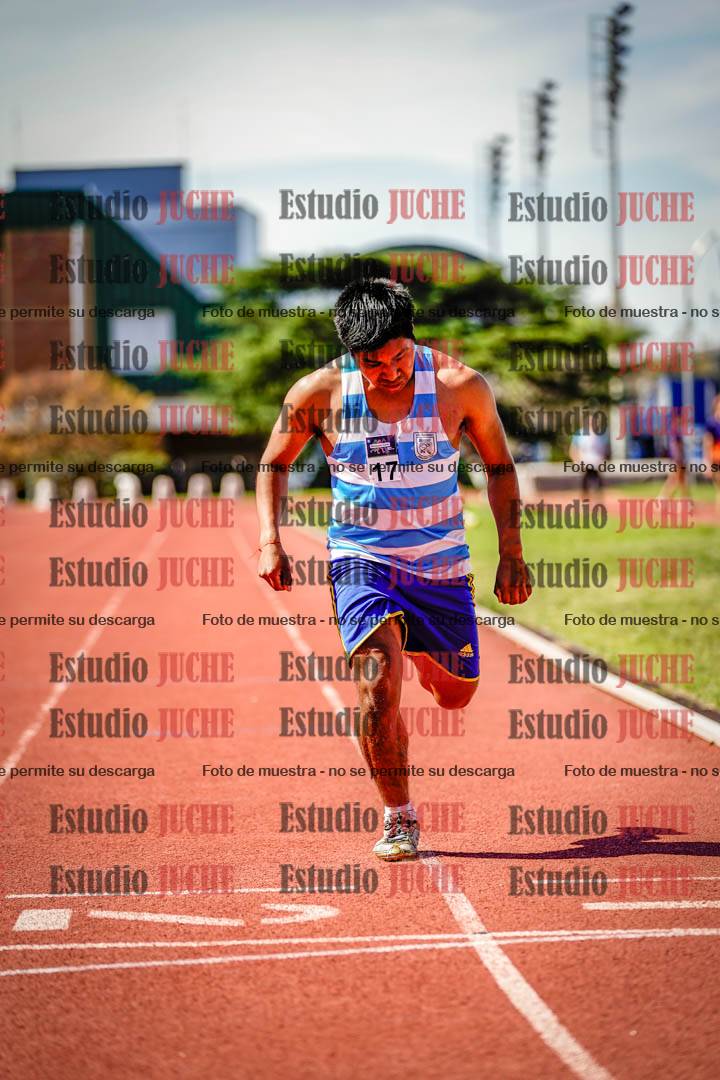 Fotos de los 800 m llanos de varones