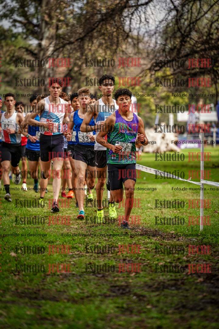 Fotos en el circuito