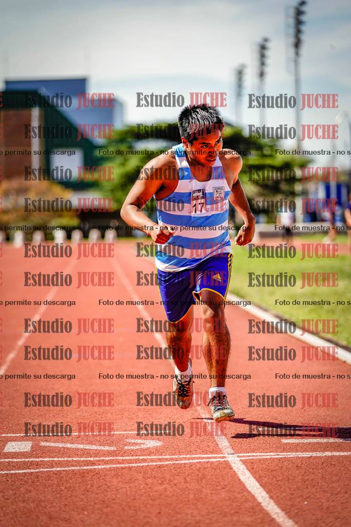 Fotos de los 800 m llanos de varones