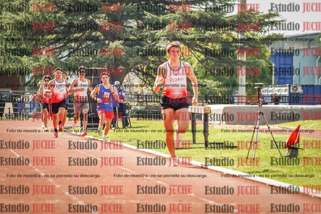 Fotos de los 800 m llanos de varones