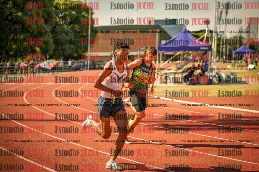 Fotos de los 800 m llanos de varones