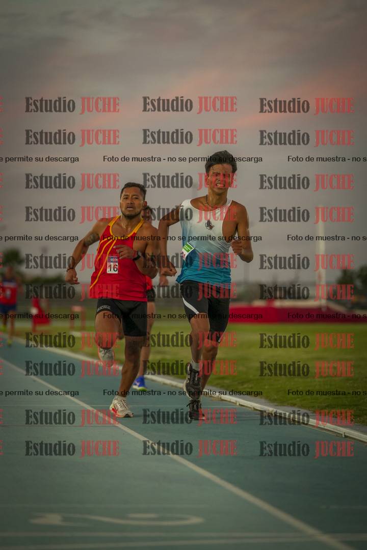 Fotos de los 3000 m llanos de varones