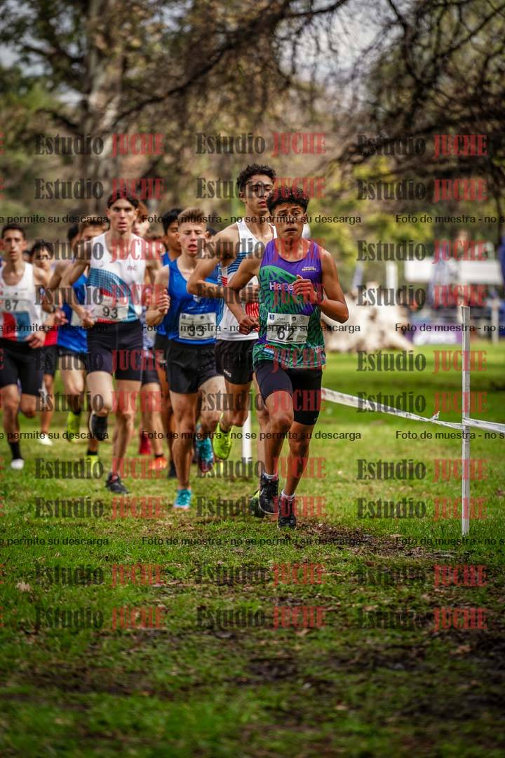 Fotos en el circuito