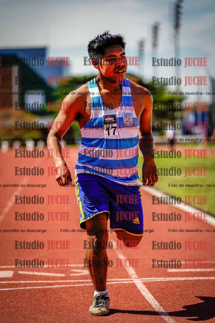 Fotos de los 800 m llanos de varones