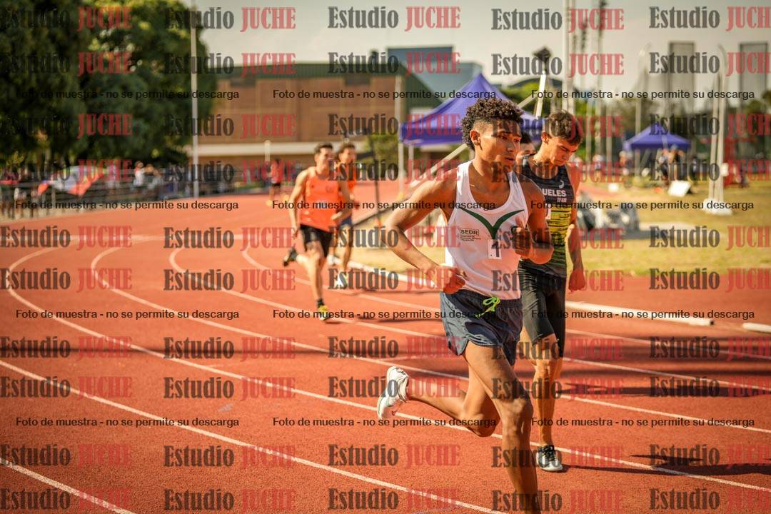 Fotos de los 800 m llanos de varones