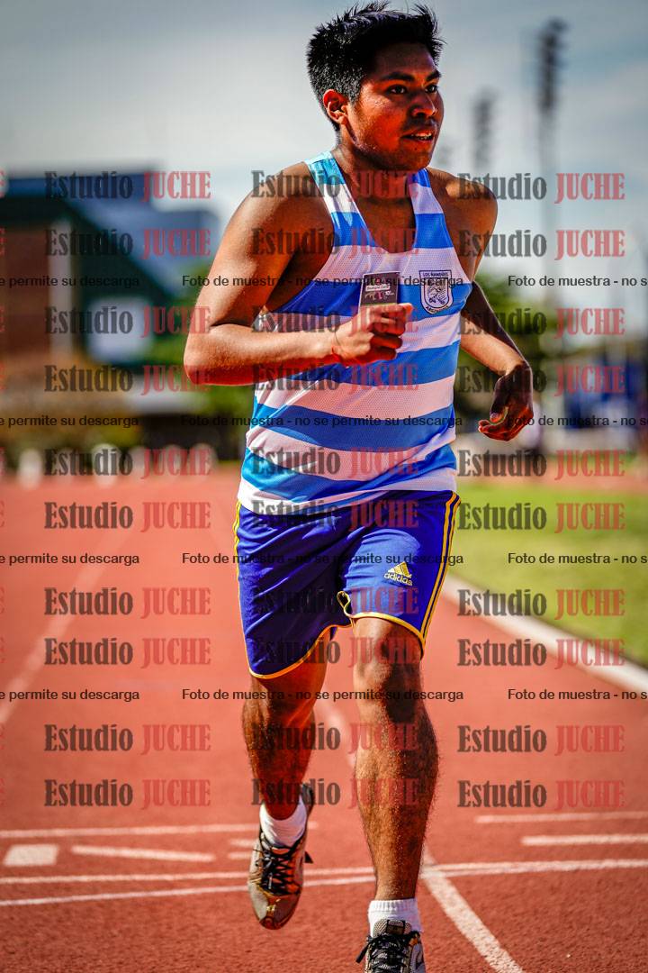 Fotos de los 800 m llanos de varones
