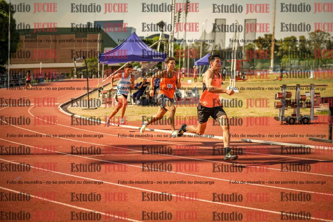 Fotos de los 800 m llanos de varones