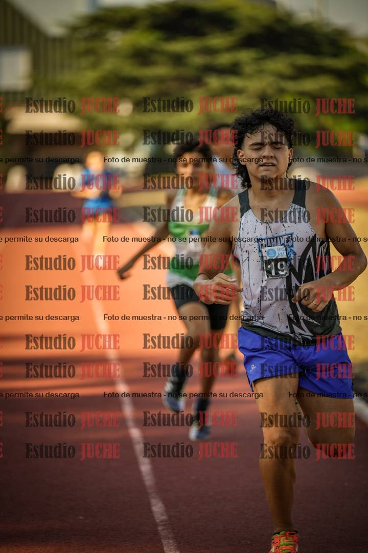 Fotos de los 800 m llanos de varones