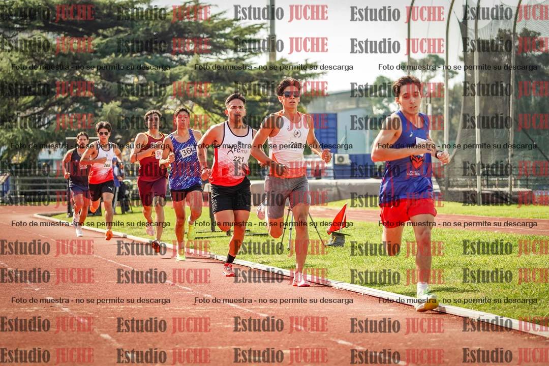 Fotos de los 800 m llanos de varones