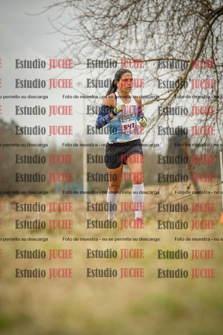 Fotos en el circuito