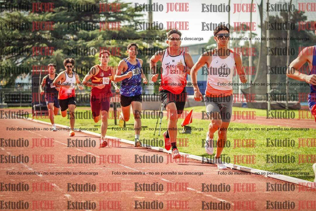 Fotos de los 800 m llanos de varones