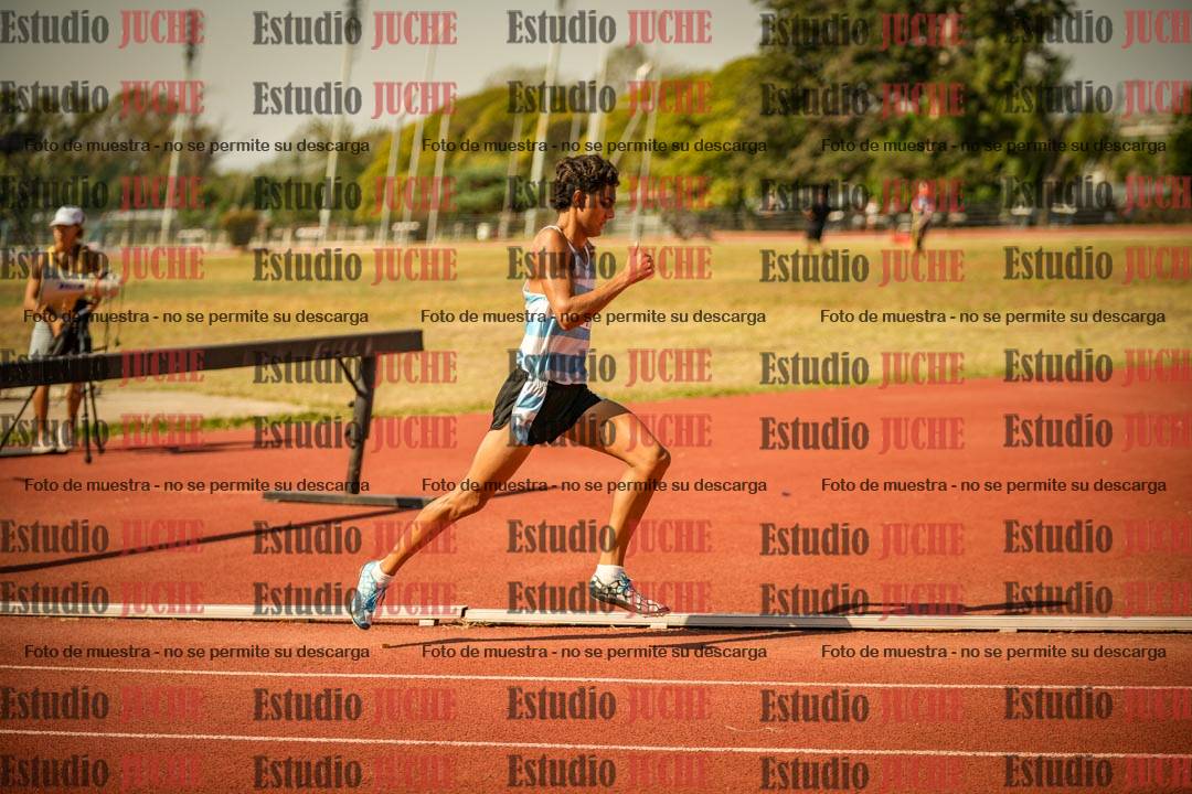 Fotos de los 800 m llanos de varones
