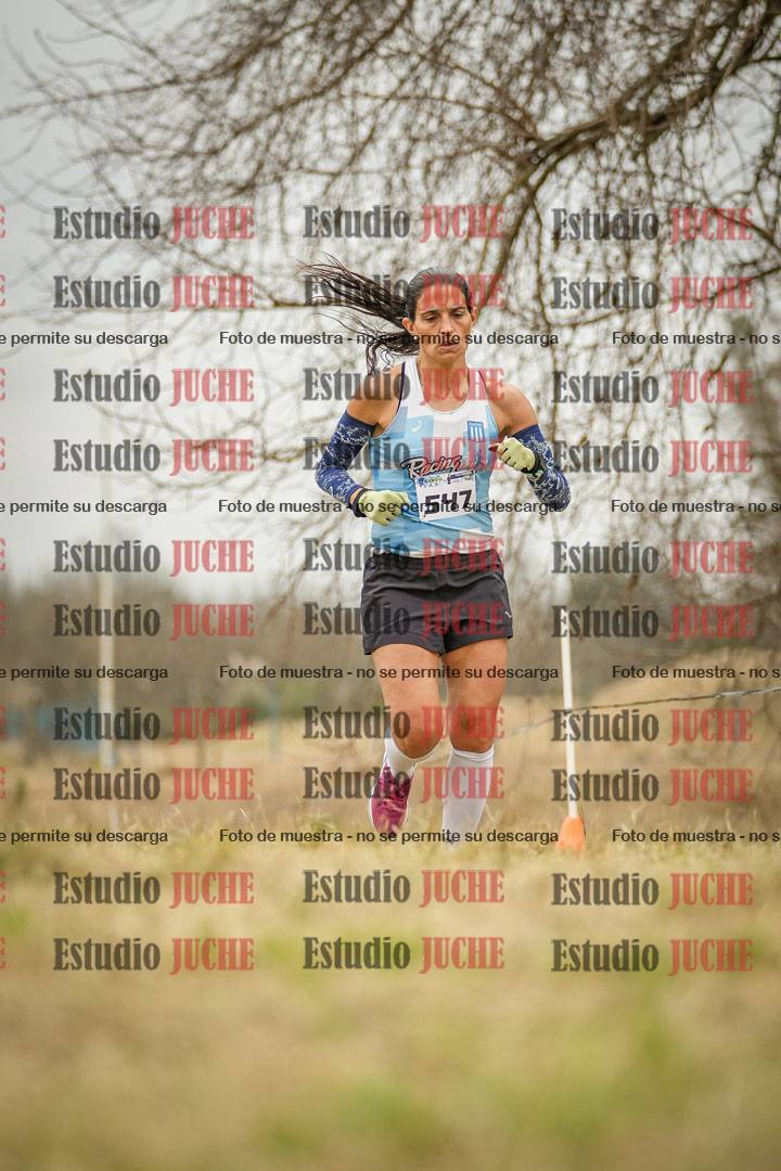 Fotos en el circuito