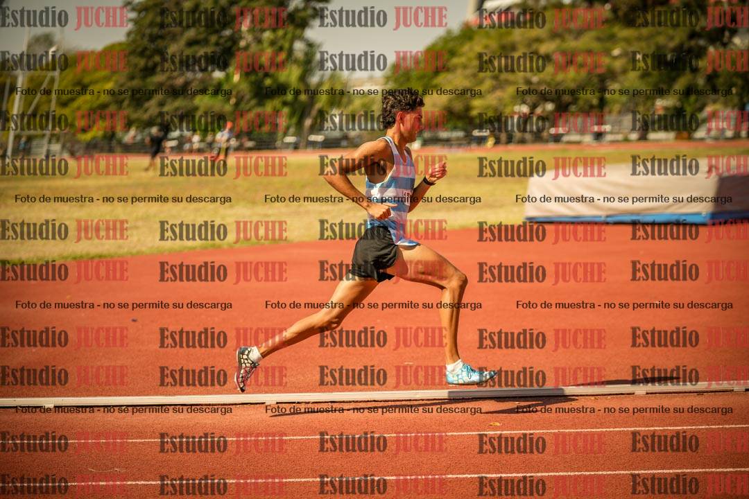 Fotos de los 800 m llanos de varones