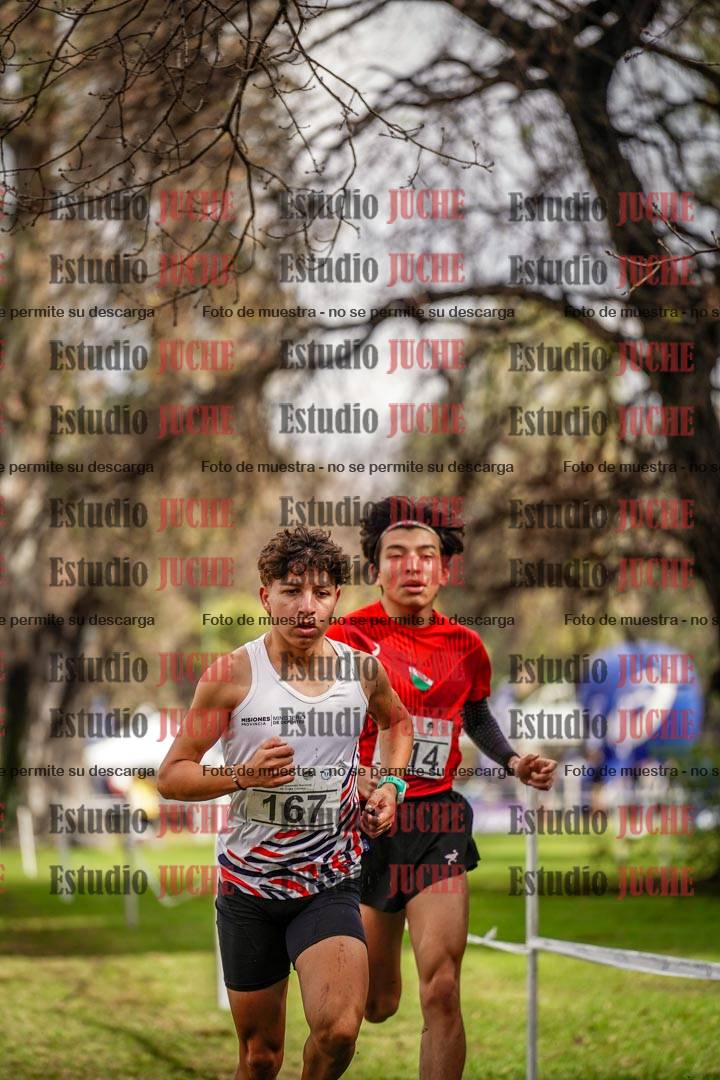 Fotos en el circuito