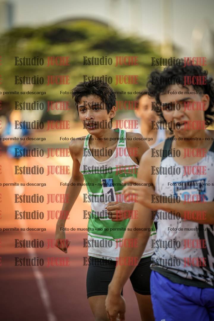 Fotos de los 800 m llanos de varones