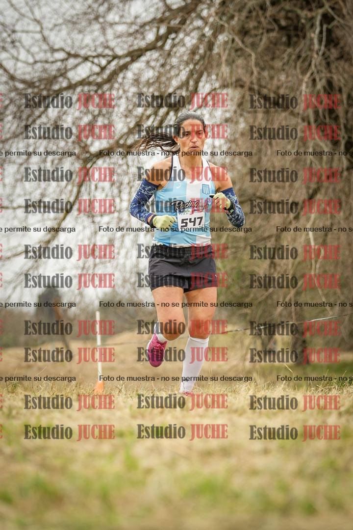 Fotos en el circuito